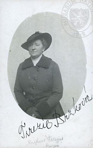 Terezie Brzková na civilní fotografii, b. d., fotograf neuveden. Sbírka Národního muzea, Divadelní oddělení, H6p-4/2011, sign. 4 F 327.